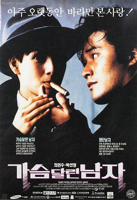 甄子丹电影大全-一个人的武林