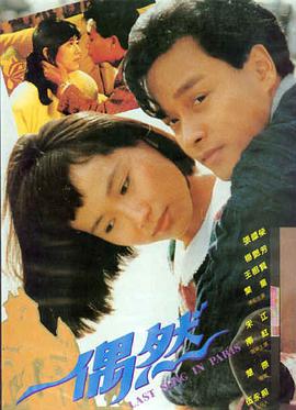 甄子丹电影大全-武侠